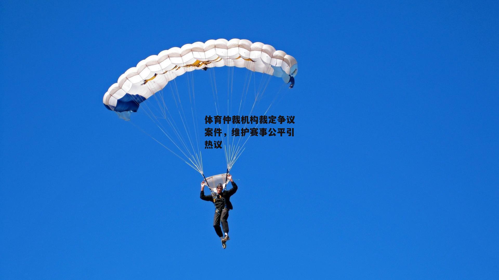 体育仲裁机构裁定争议案件，维护赛事公平引热议