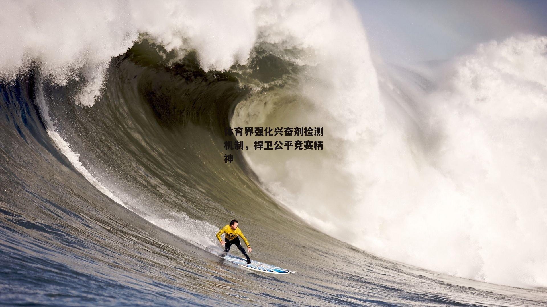 体育界强化兴奋剂检测机制，捍卫公平竞赛精神